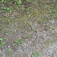 Shelter Valley Creek Golf Course