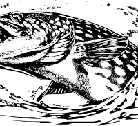 international fishing centre