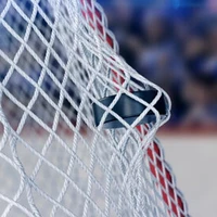 Fort Hockey Development