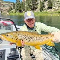 FREESTONE FLY ANGLER