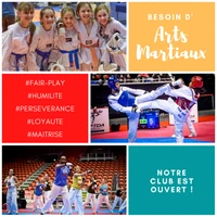 Academy Ardennaise De Taekwondo Et Da