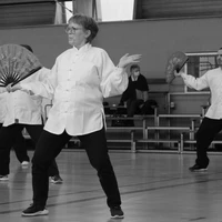 Acc Kung-Fu / Qi Gong