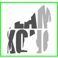 TEAM KONG COACHING
