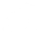 STEPPAZ Ltd