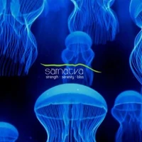 Samatva Yoga