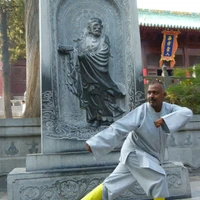 Damo Shaolin Kung Fu School, India