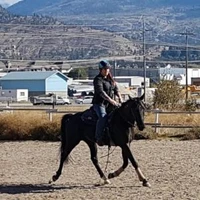 Sagebrush pony parties & events