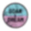 Soar & Dream Yoga and Wellness