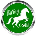 Harling Colts FC