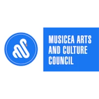 Stringdom Music School