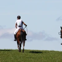 EARL METABIEF EQUITATION