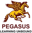 Pegasus Institute