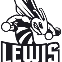 Lewis Fitness PT