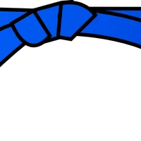 Club De Judo De Saint-Hubert Inc