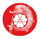 Kishinkaï Aïkido Saint-Étienne