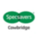 Cowbridge Cricket Club