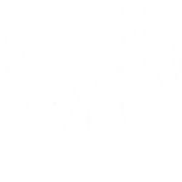 The Barking Parrot Bar