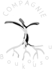 Compagnie Boukousou danse contemporaine