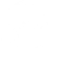 King's Gym Bratislava