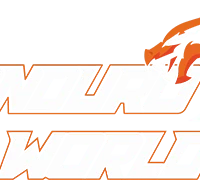 Enduro world
