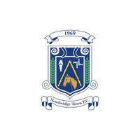 Newbridge Town FC