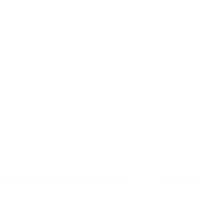 SSWRMSA