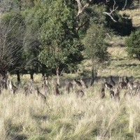 Wodonga BMX Racing Track