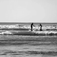 Enjoy School Surf