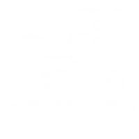 Triathlon