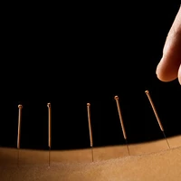 Scott Brisbane - Brunswick Acupuncture, Craniosacral & Yoga