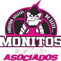 Monitos Gym
