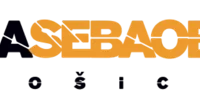 Reálna sebaobrana Košice