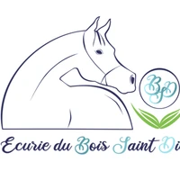 Ecurie Du Bois De St Dié