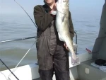 Dawn raider charters