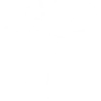 Éviedanse