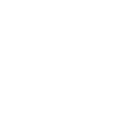 Twenty Four Jiu Jitsu
