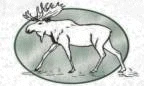 White Moose Resort