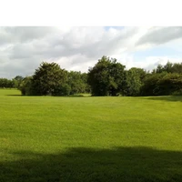 Porters Wood