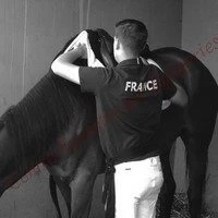 Equestrian Center Des Egageries