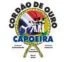 Passaro de Ouro