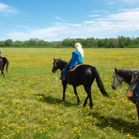 Horse Trekking Adventures