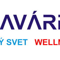 Plaváreň Snina