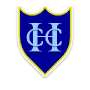 Higham Cricket Club
