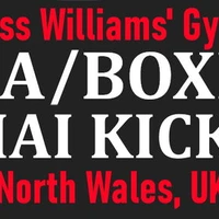 Russ Williams Martial Arts Caerwys