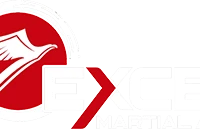 Excel Martial Arts Port Coquitlam