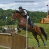 Stud Du Rond Pre