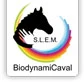 Biodynamicaval, Therapy Center With Le Cheval Et D'équithérapie