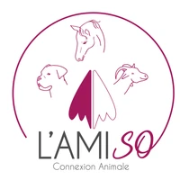 L'amiso Connexion Animale