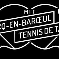 Marcq En Baroeul Tennis de Table