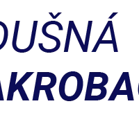 Vzdušná Akrobacia